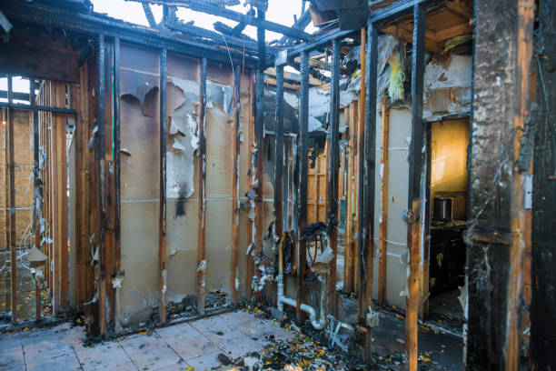 Professional Smoke Damage Removal technician working in Burtonsville, MD